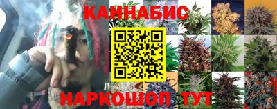 МДПВ Славянск-на-Кубани