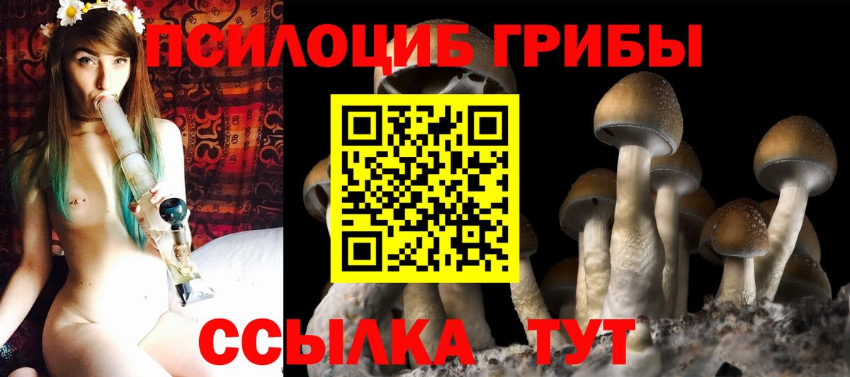 Галлюциногенные грибы Psilocybe  Псилоцибиновые грибы прущие грибы  Обь  Вход с VPN 
