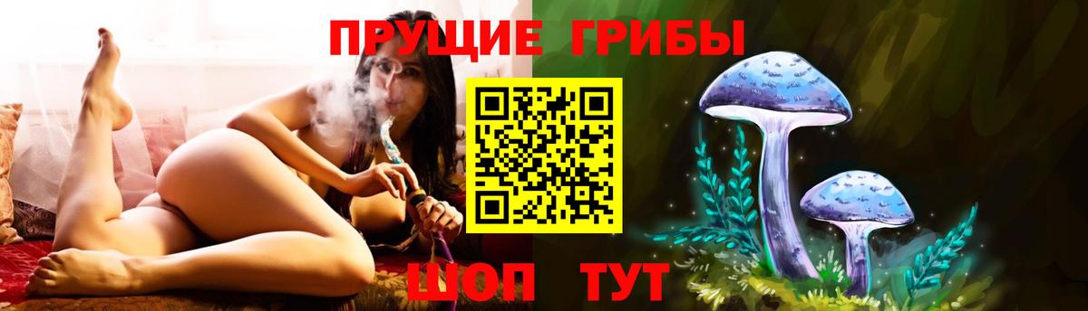 Галлюциногенные грибы Psilocybine cubensis Обь