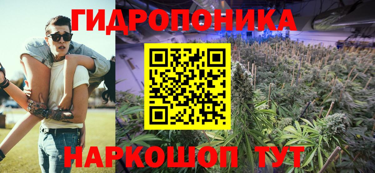 Обь  Бошки Шишки SATIVA & INDICA  Вход с VPN  Канабис гибрид 